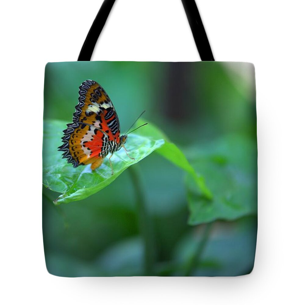 8350 Tote Bag featuring the photograph Butterfly on a Leaf by Gordon Elwell