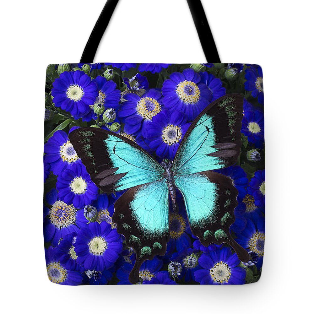 Cineraria Tote Bag featuring the photograph Butterfly On Cineraria by Garry Gay