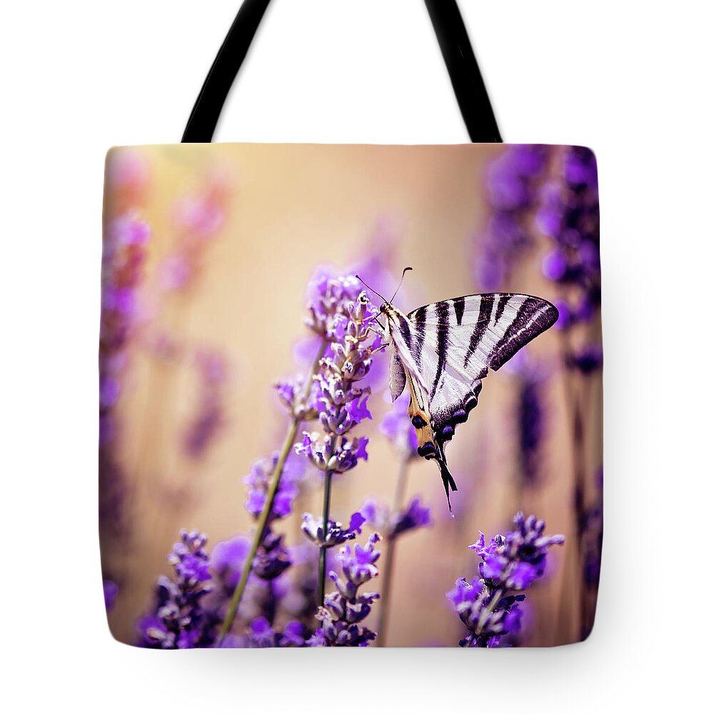 Working Tote Bag featuring the photograph Butterfly On Lavender by Artmarie