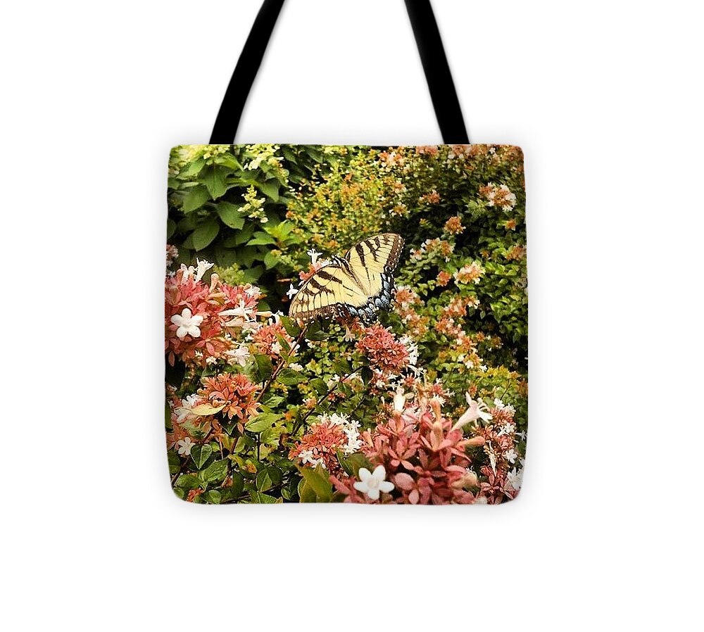 Butterfly Tote Bag featuring the photograph Butterfly...... Open Your Wings And Fly by Sandra Lira