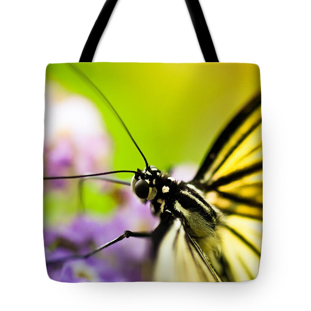 Butterfly Tote Bag featuring the photograph Butterfly by Sebastian Musial