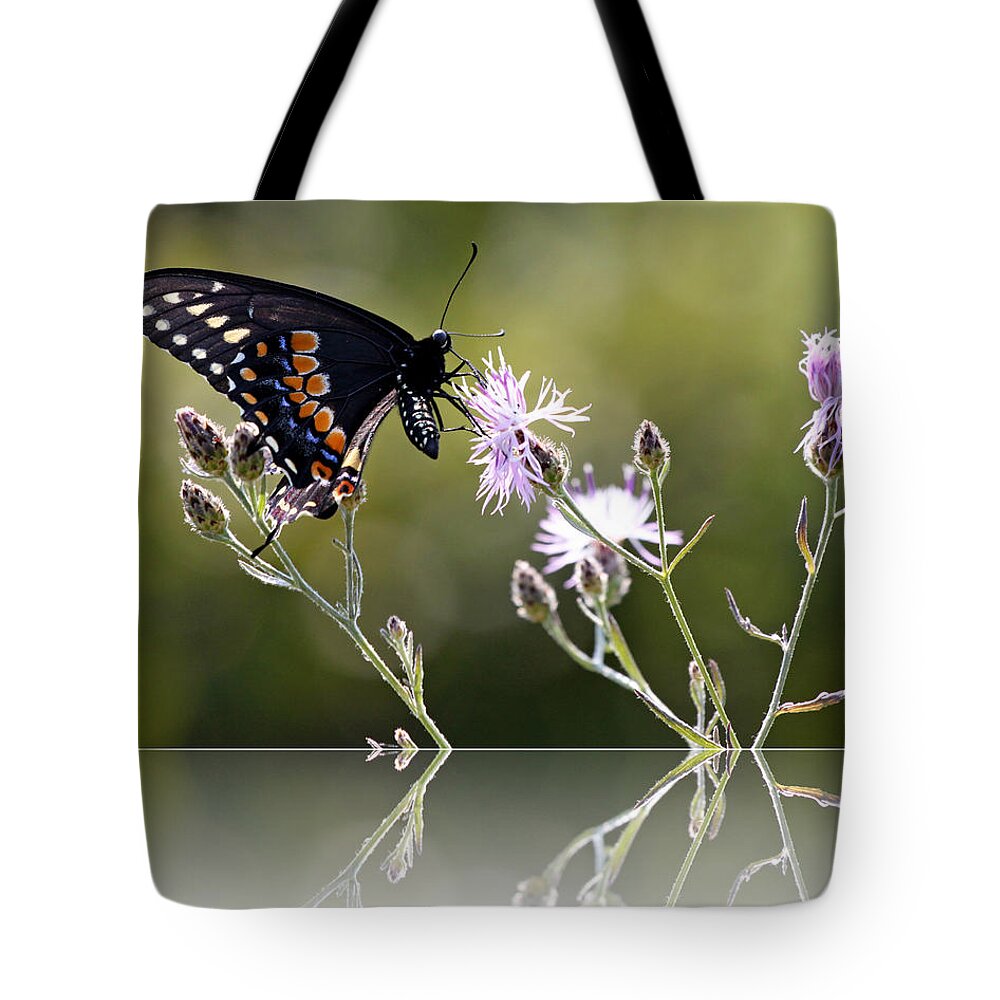 Nature Tote Bag featuring the photograph Butterfly with Reflection by Eleanor Abramson