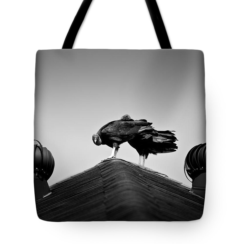 Vulture Tote Bag featuring the photograph Buzzards 2 by Mark Alder