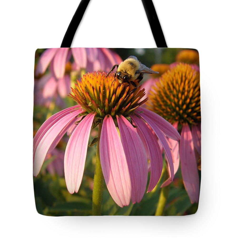 Bee Tote Bag featuring the photograph Bzzzy Coneflowers by Caryl J Bohn