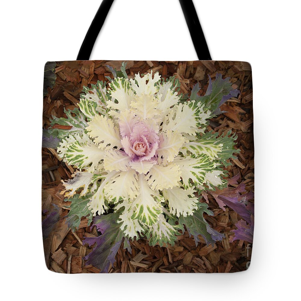 Cabbage Rose Tote Bag featuring the photograph Cabbage Rose by Victoria Harrington