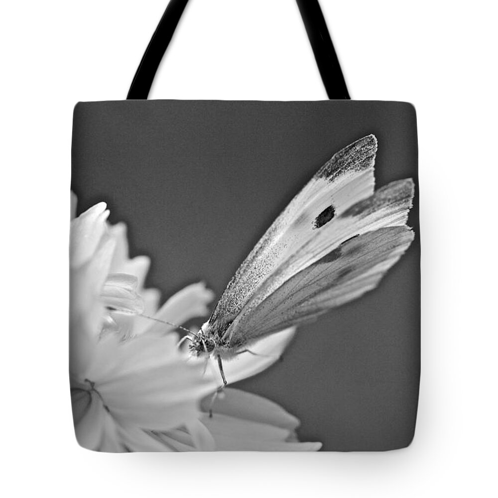 Butterfly Tote Bag featuring the photograph Cabbage White Butterfly on Cosmos - Black and White by Carol Senske