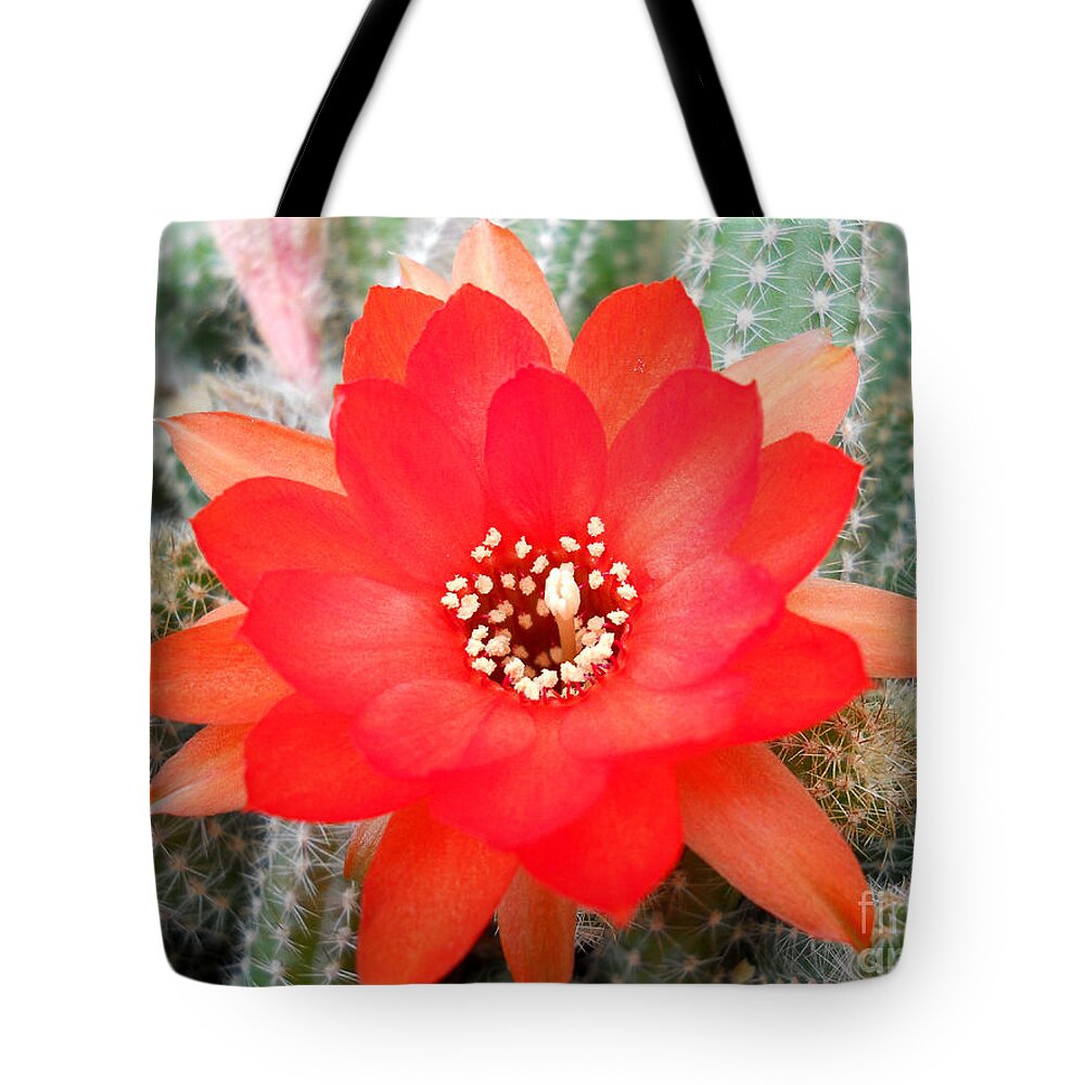Cactus Tote Bag featuring the photograph Cactus Flower by Ramona Matei