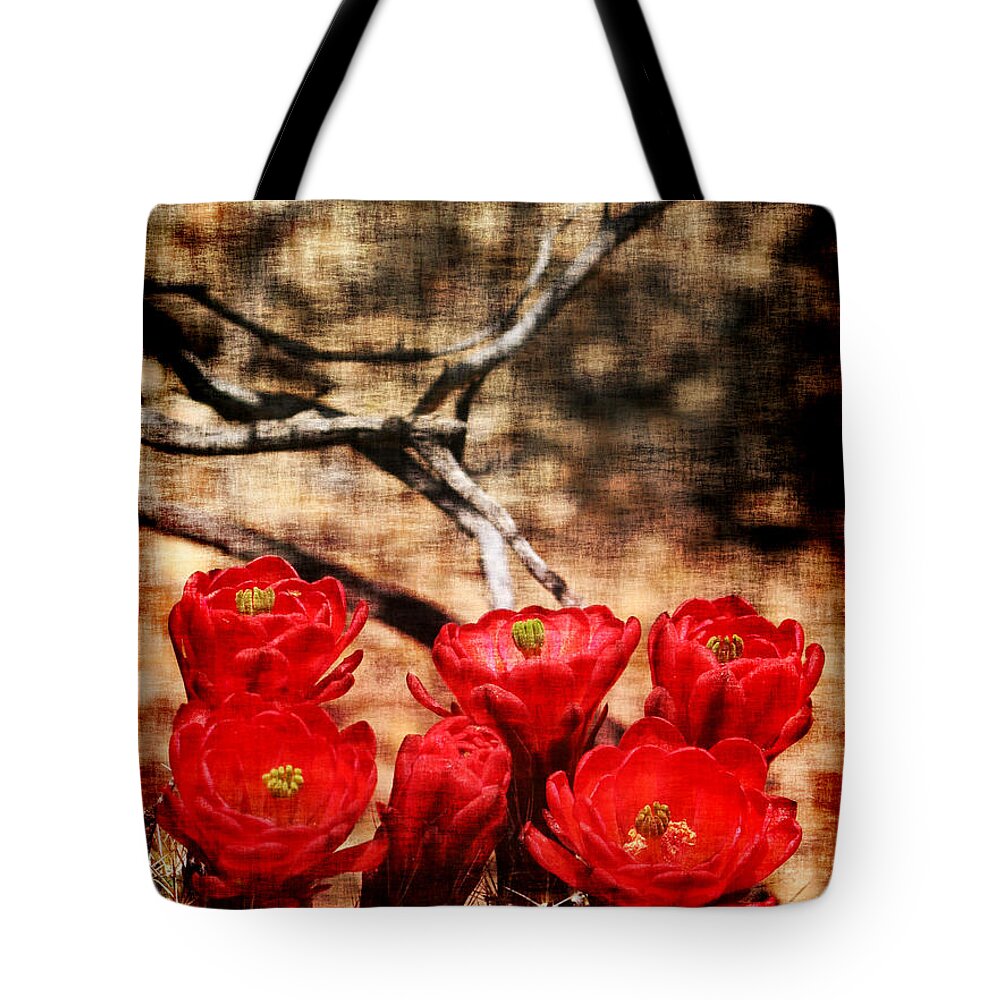 Cactus Tote Bag featuring the photograph Cactus Flowers 2 by Julie Lueders 