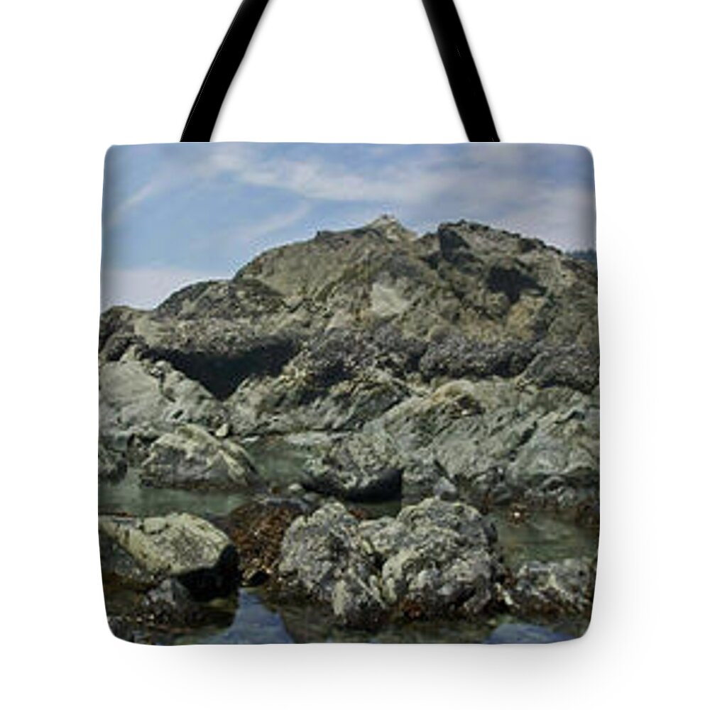 Beaches Tote Bag featuring the photograph California Beach 2 by Harold Zimmer