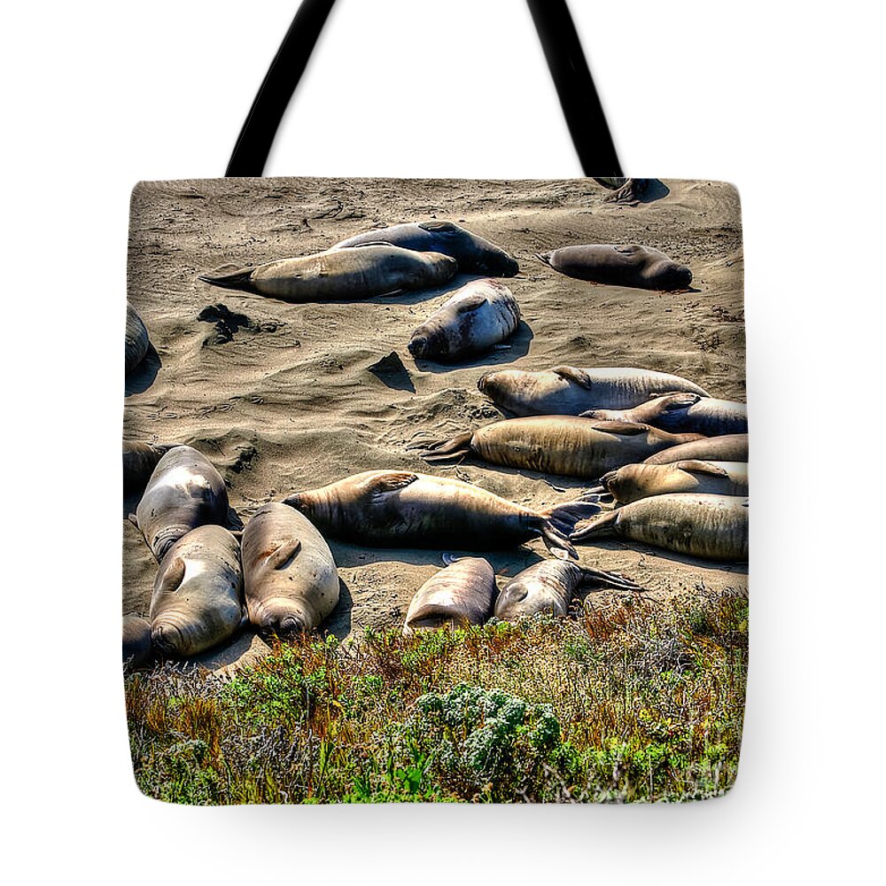 Seals Tote Bag featuring the photograph California Dreaming by Jim Carrell