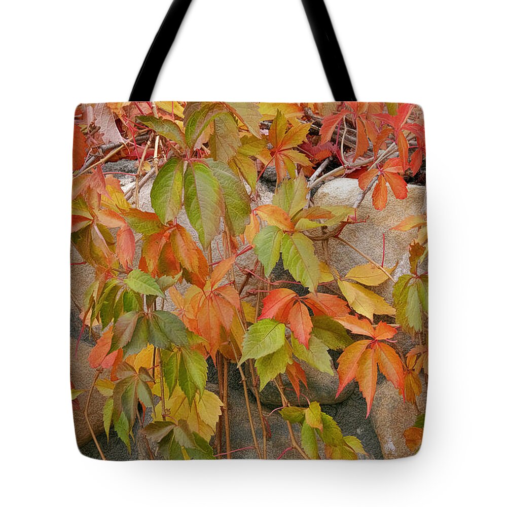 California Fall Colors Tote Bag featuring the photograph California Fall Colors by Wes and Dotty Weber