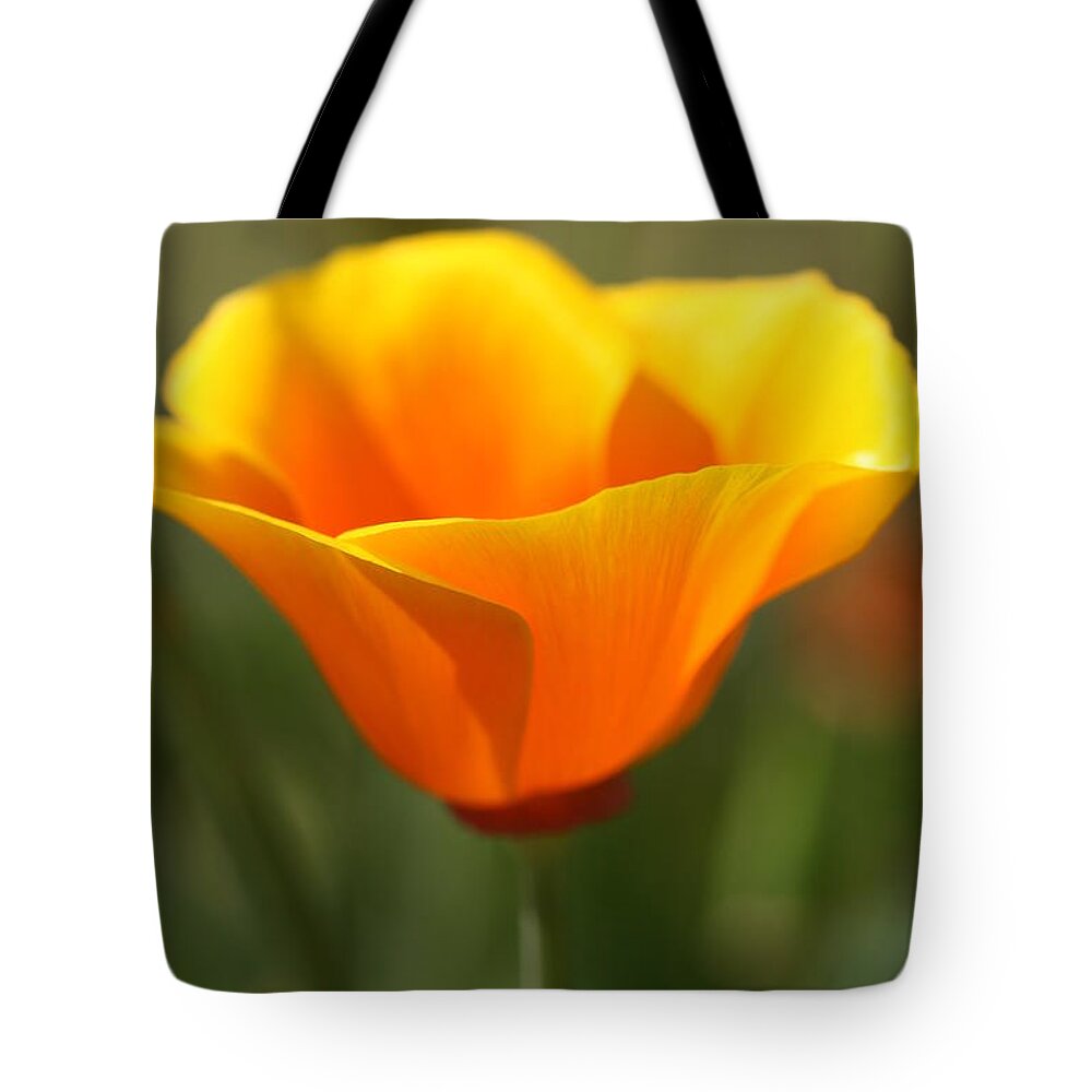 Orange King Poppy Tote Bag featuring the photograph Californian Poppy by Joy Watson