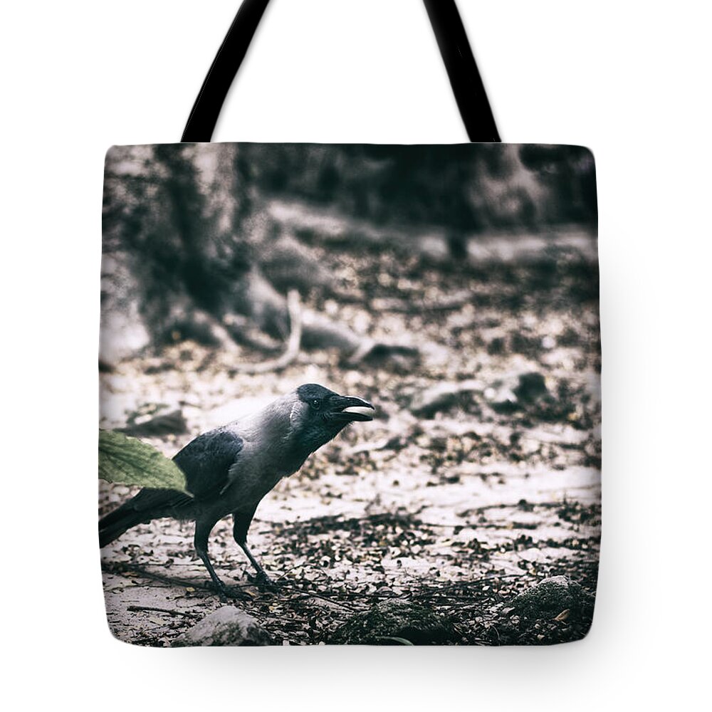 Crow Tote Bag featuring the photograph Call of the Crow by Scott Wyatt
