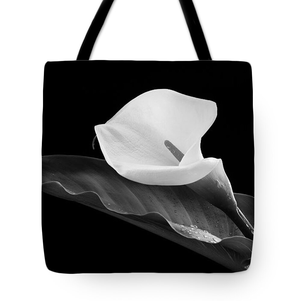 Calla Lili Tote Bag featuring the photograph Calla lily flower by Michalakis Ppalis