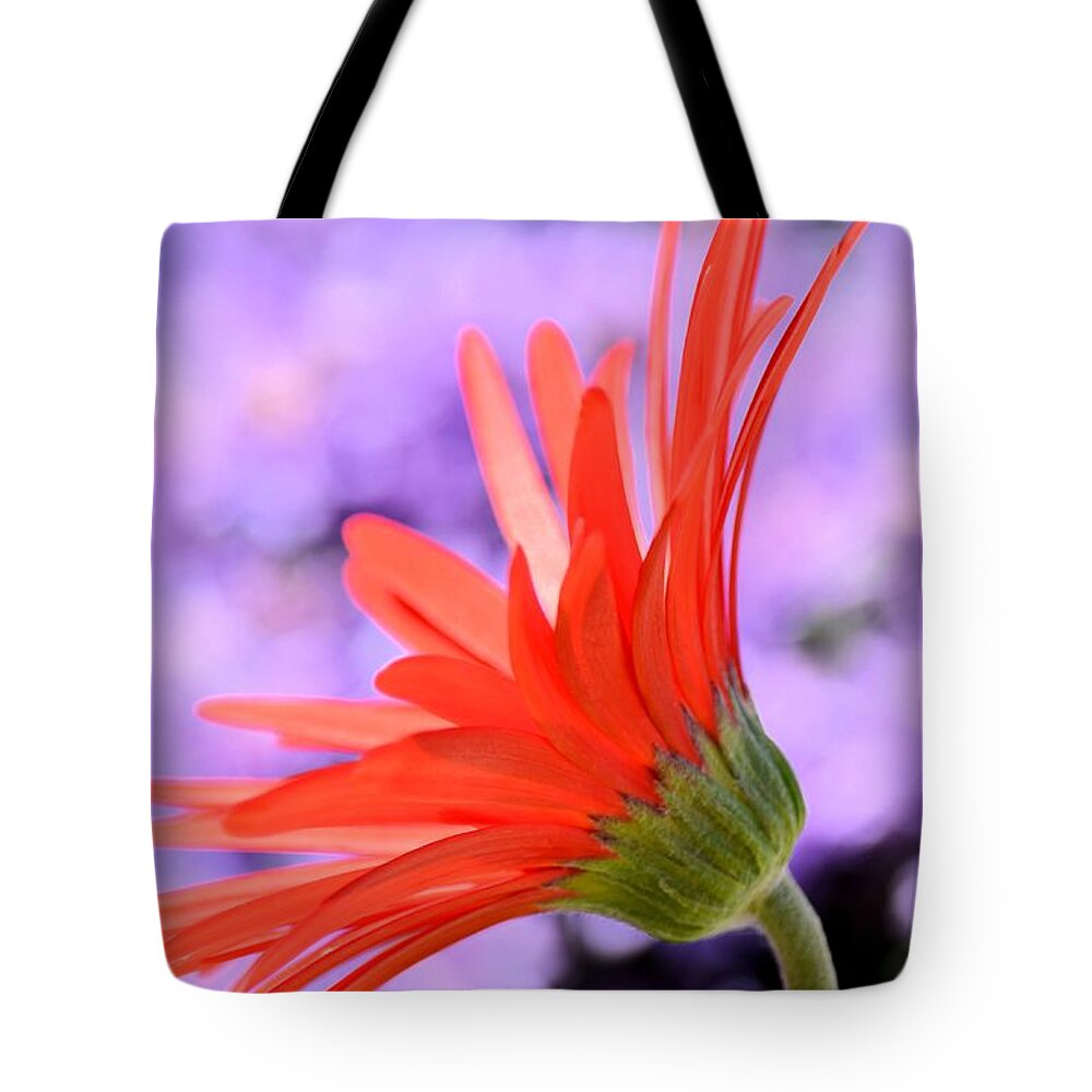 Calling On The Sun Tote Bag featuring the photograph Calling on the Sun by Maria Urso