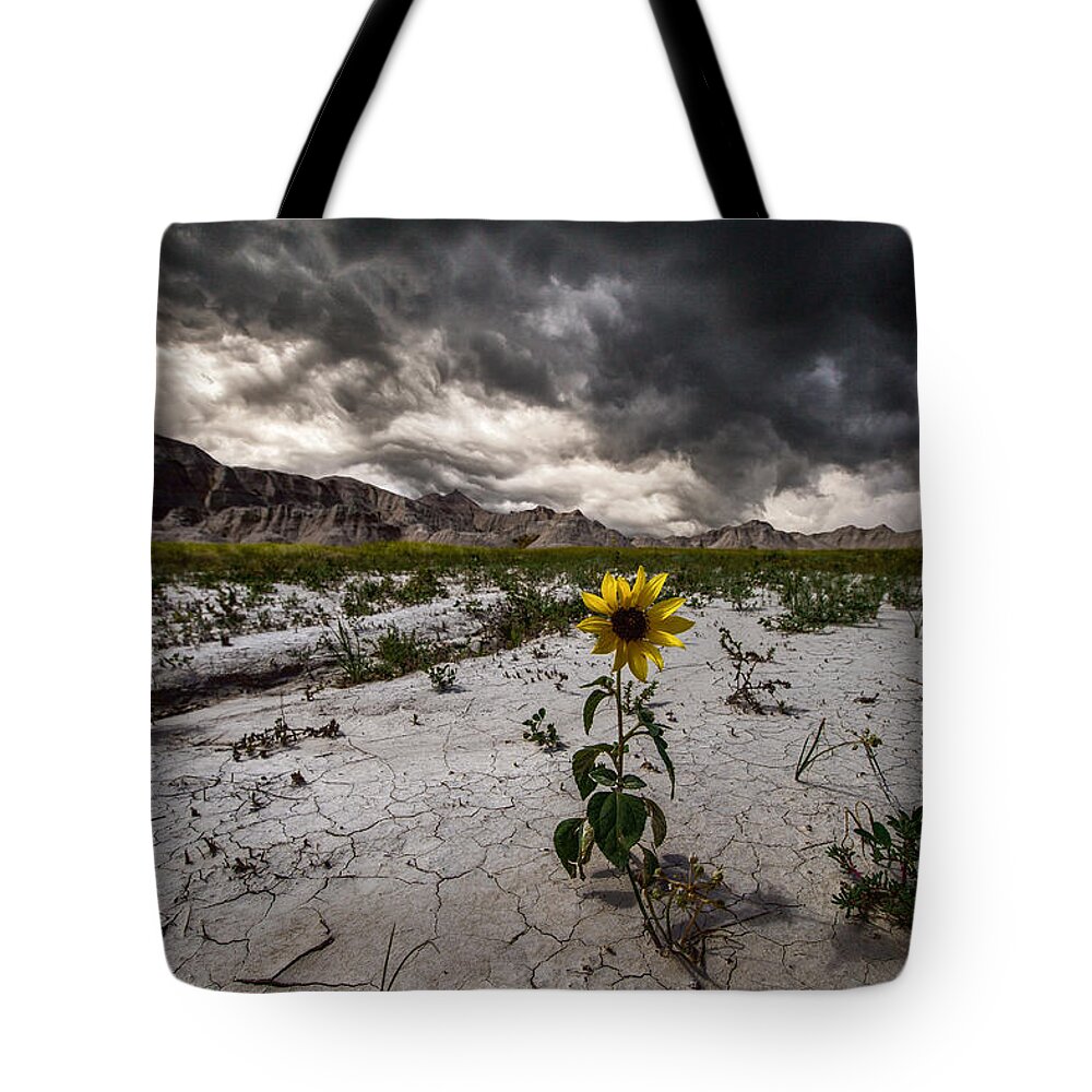 #badlands #badlands National Park #south Dakota #storm #storm Clouds #stormy #thunderstorm #wall #beauty #clouds #crack #cracked Ground #cracks #dangerous #earth #flower #ground #nature #rock Formations #rugged Terrain #severe #sky #weather #weed #yellow Tote Bag featuring the photograph Calm Before The Storm by Aaron J Groen