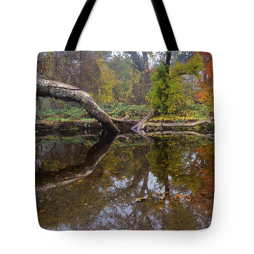 Chico Tote Bag featuring the photograph Calm On Big Chico Creek by Robert Woodward
