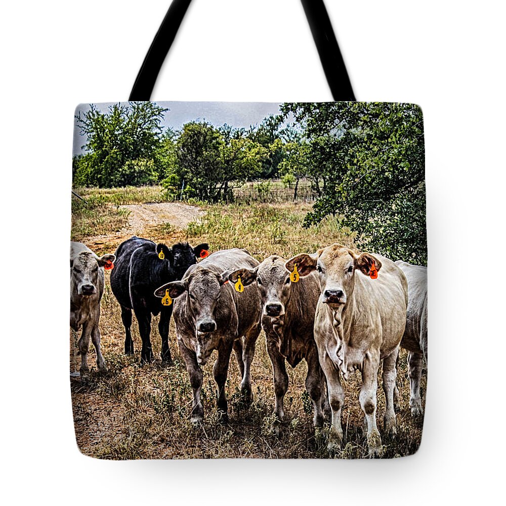 Calves Tote Bag featuring the photograph Calves of the Ranch by Toma Caul