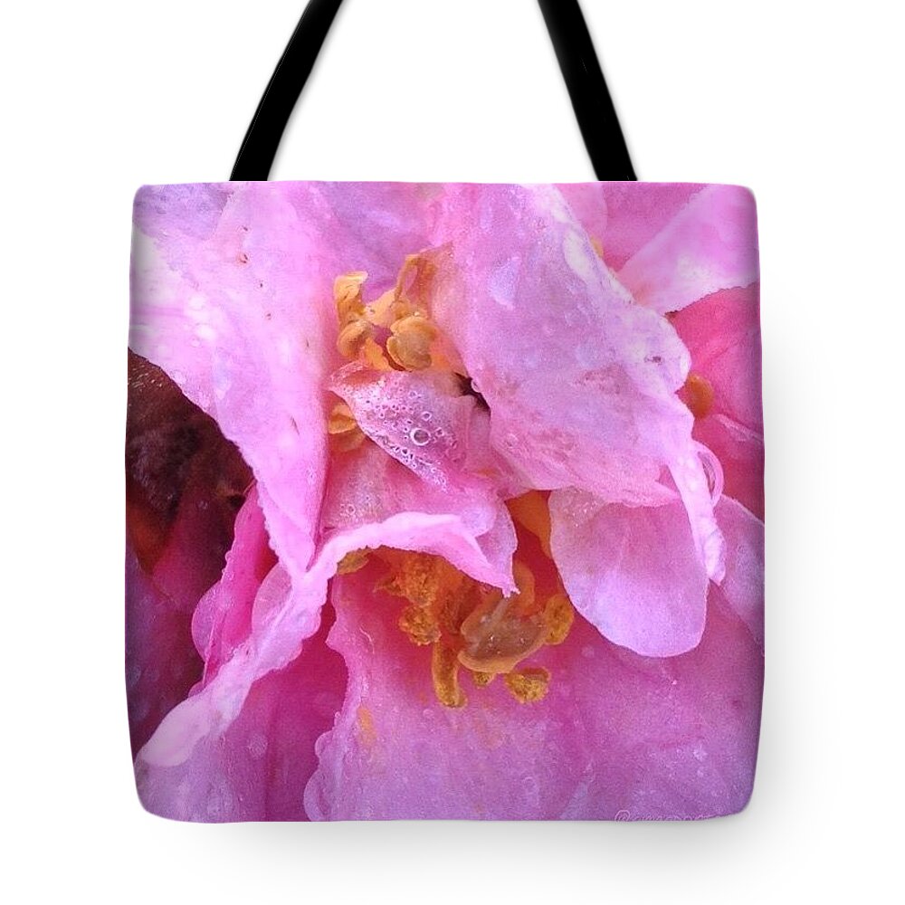 Camellia Parts Tote Bag featuring the photograph Camellia Parts by Anna Porter