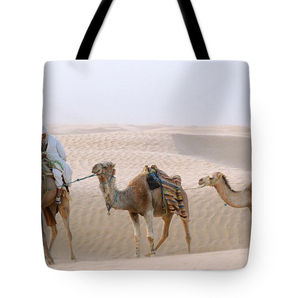 Camel and Sahara Tote Bag Hand Painted Black Canvas Bag 