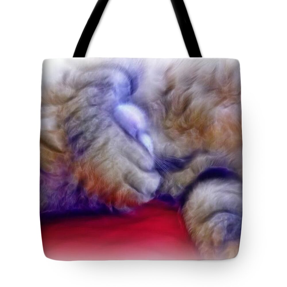Cat Tote Bag featuring the photograph Camera Shy Kitty by Lilia D