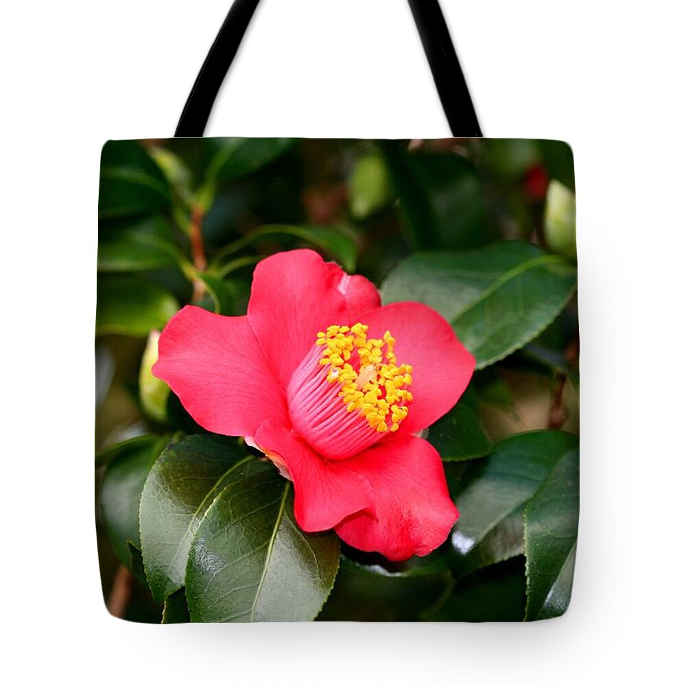 Yellow Tote Bag featuring the photograph Camellia by Karen Silvestri