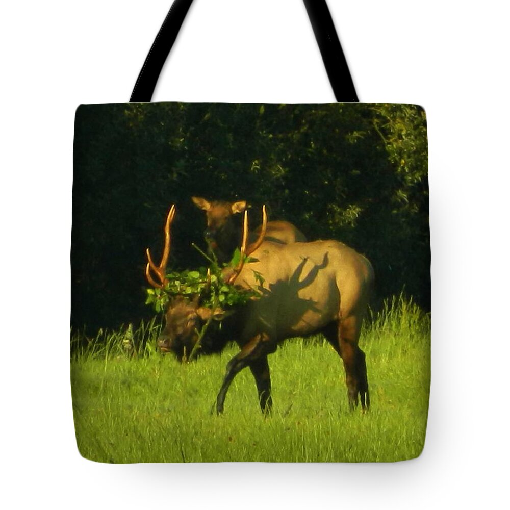 Elk Tote Bag featuring the photograph Camoflaged Elk With Shadows by Gallery Of Hope