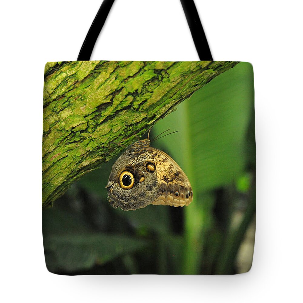 Wildlife Tote Bag featuring the photograph Camouflage by Richard Gehlbach
