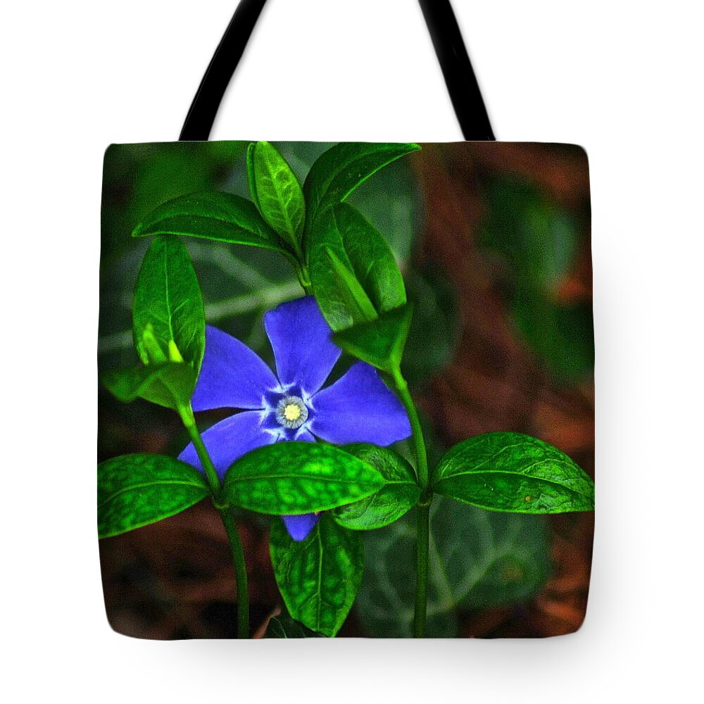 Camouflage Tote Bag featuring the photograph Camouflage by Frozen in Time Fine Art Photography