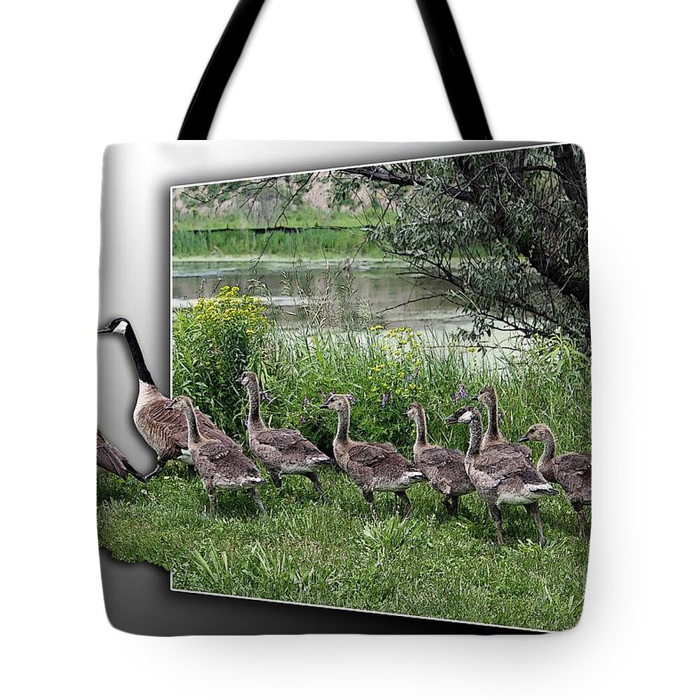 Mccombie Tote Bag featuring the digital art Canada Geese by J McCombie