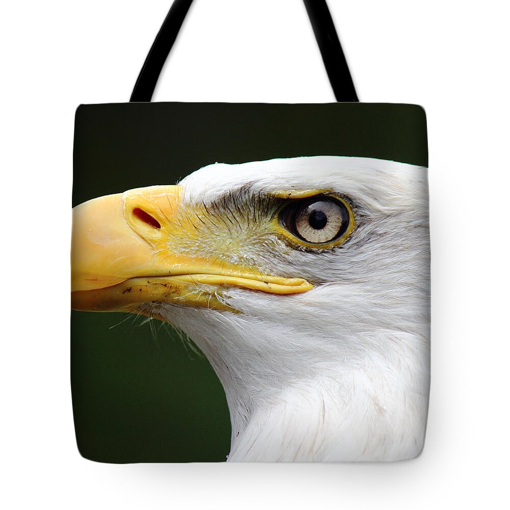 Bald Eagle Tote Bag featuring the photograph Canadian Bald Eagle by Randy Hall