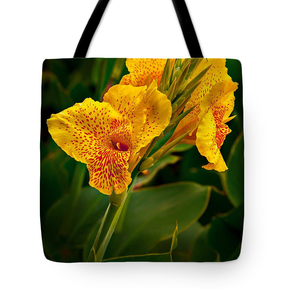 Canna Tote Bag featuring the photograph Canna Blossom by Mary Jo Allen