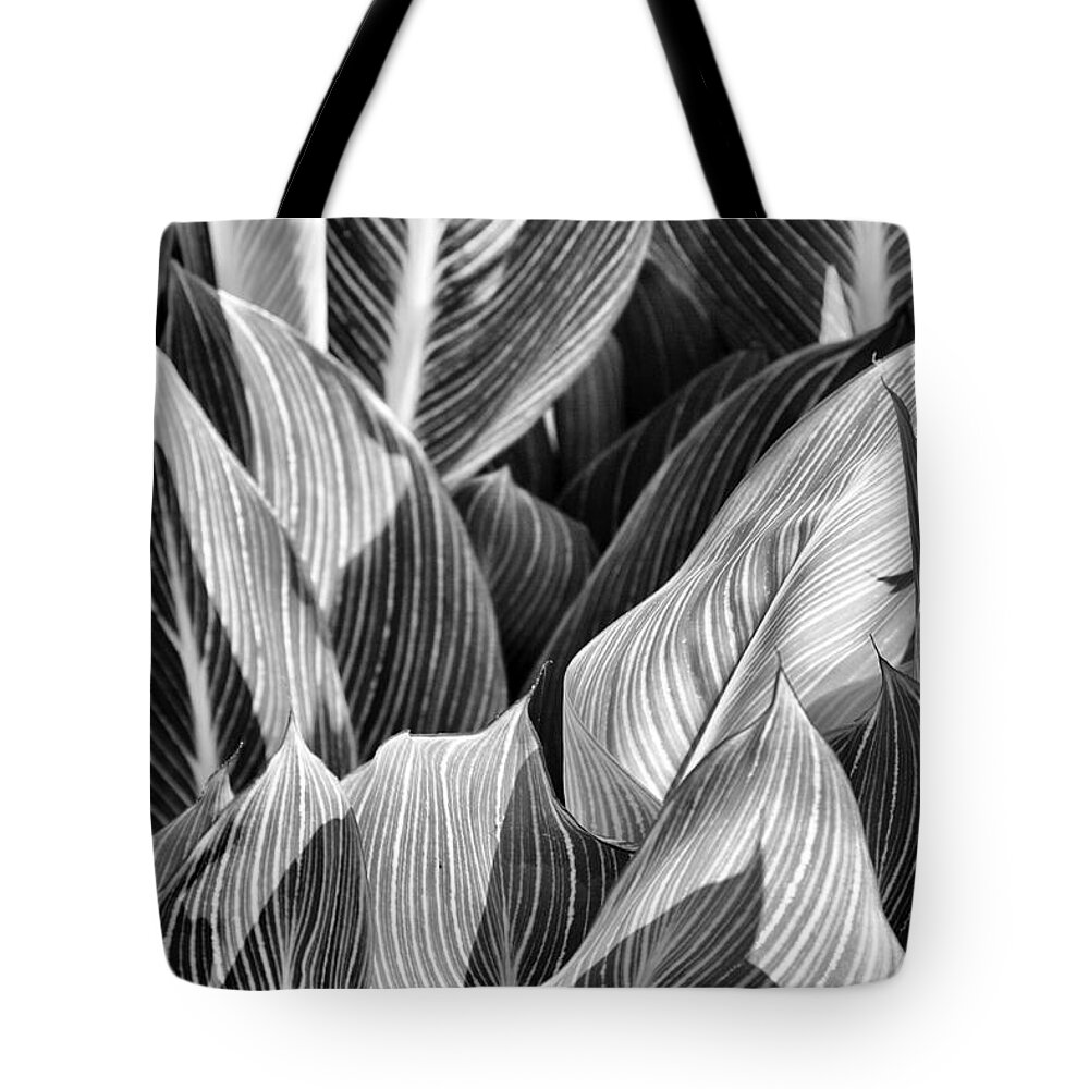 Canna Tote Bag featuring the photograph Canna Lilies in Monochrome by Jason Politte