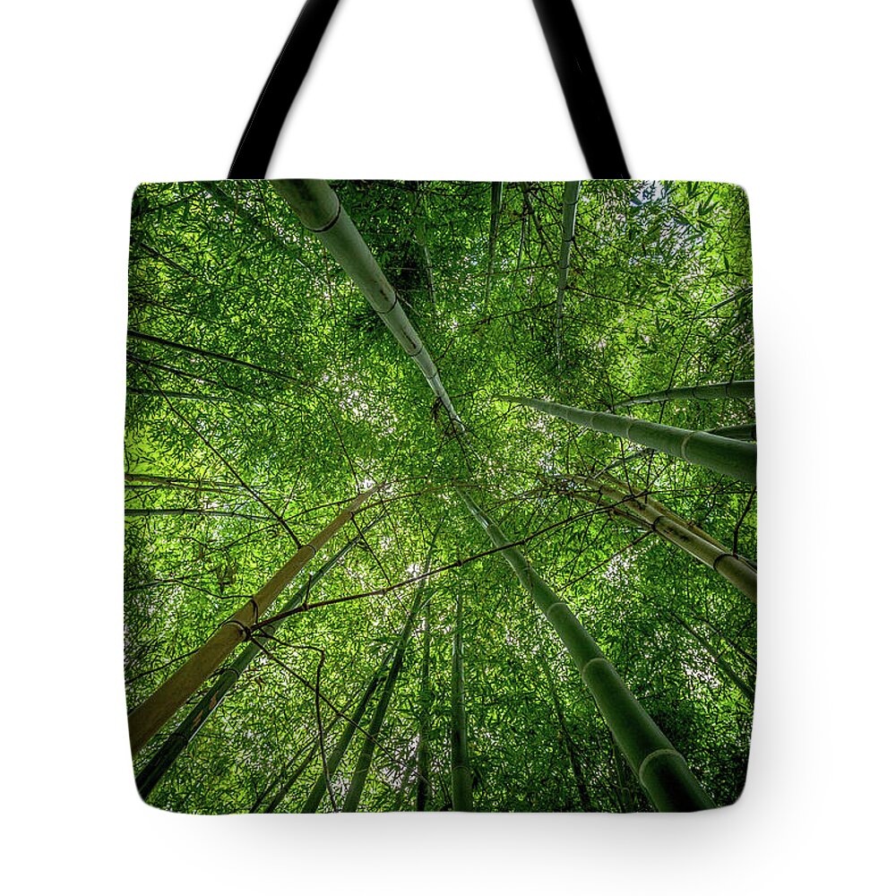 Tranquility Tote Bag featuring the photograph Canopy by A Bflo Photo