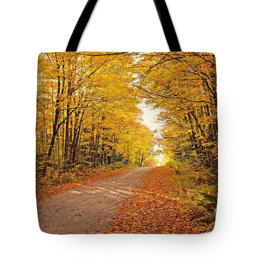 Fall Foliage Tote Bag featuring the photograph Canopy of Fall by Gwen Gibson