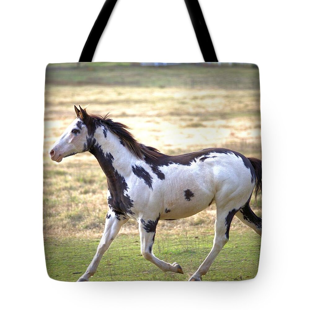 3178 Tote Bag featuring the photograph Cantor by Gordon Elwell