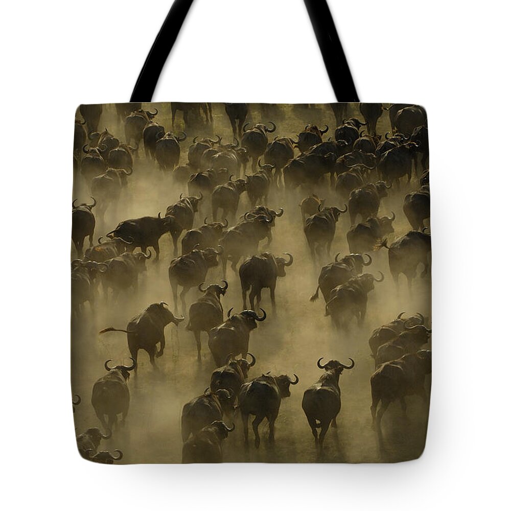 Feb0514 Tote Bag featuring the photograph Cape Buffalo Herd Stampeding Africa by Pete Oxford