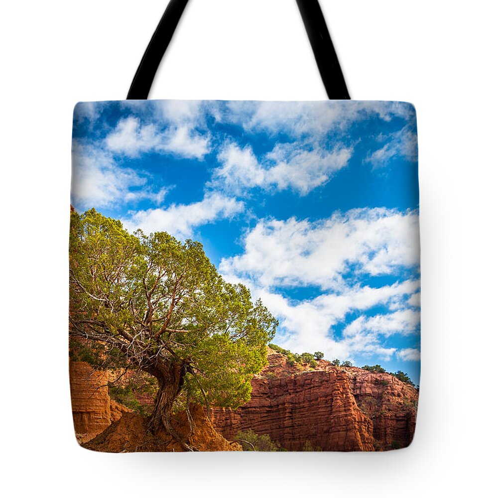 America Tote Bag featuring the photograph Caprock Canyon Tree by Inge Johnsson