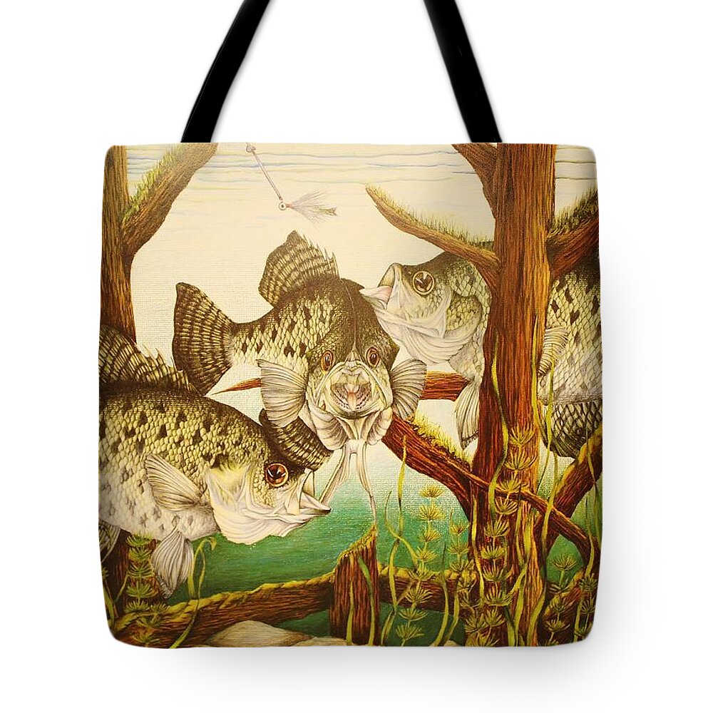 Fishing Tote Bag featuring the drawing Captivating Crappies by Bruce Bley