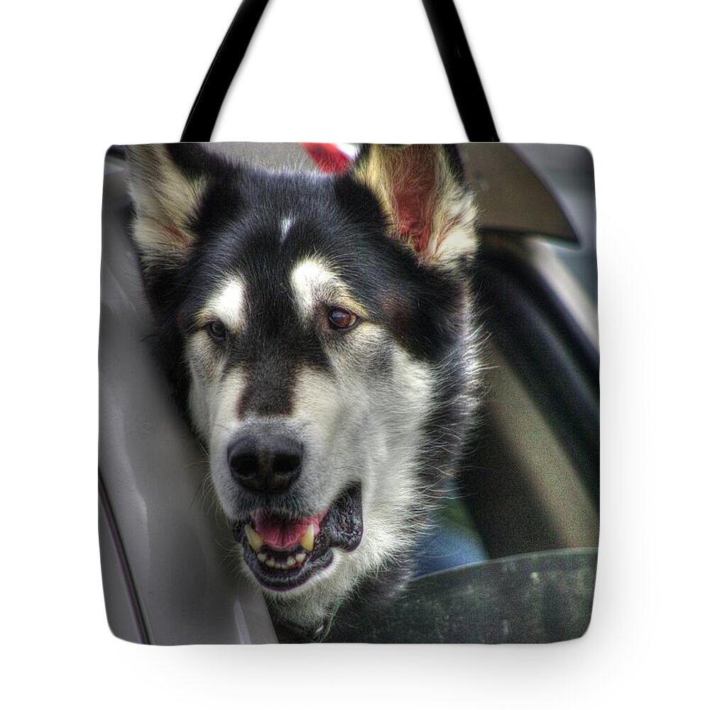 Dogs Tote Bag featuring the photograph Car ride by Dennis Baswell