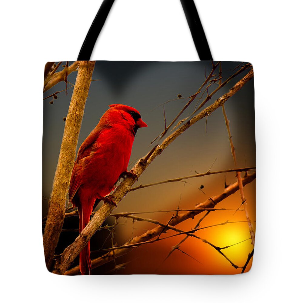 Bird Tote Bag featuring the photograph Cardinal at Sunset Valentine by Barry Jones