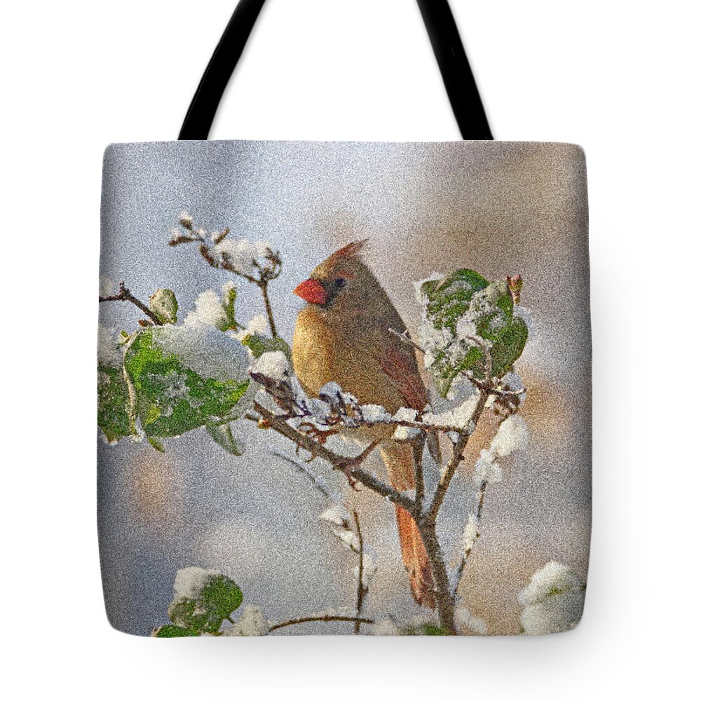 Cardinal Tote Bag featuring the photograph Cardinal on Snowy Branch by Sandy Keeton