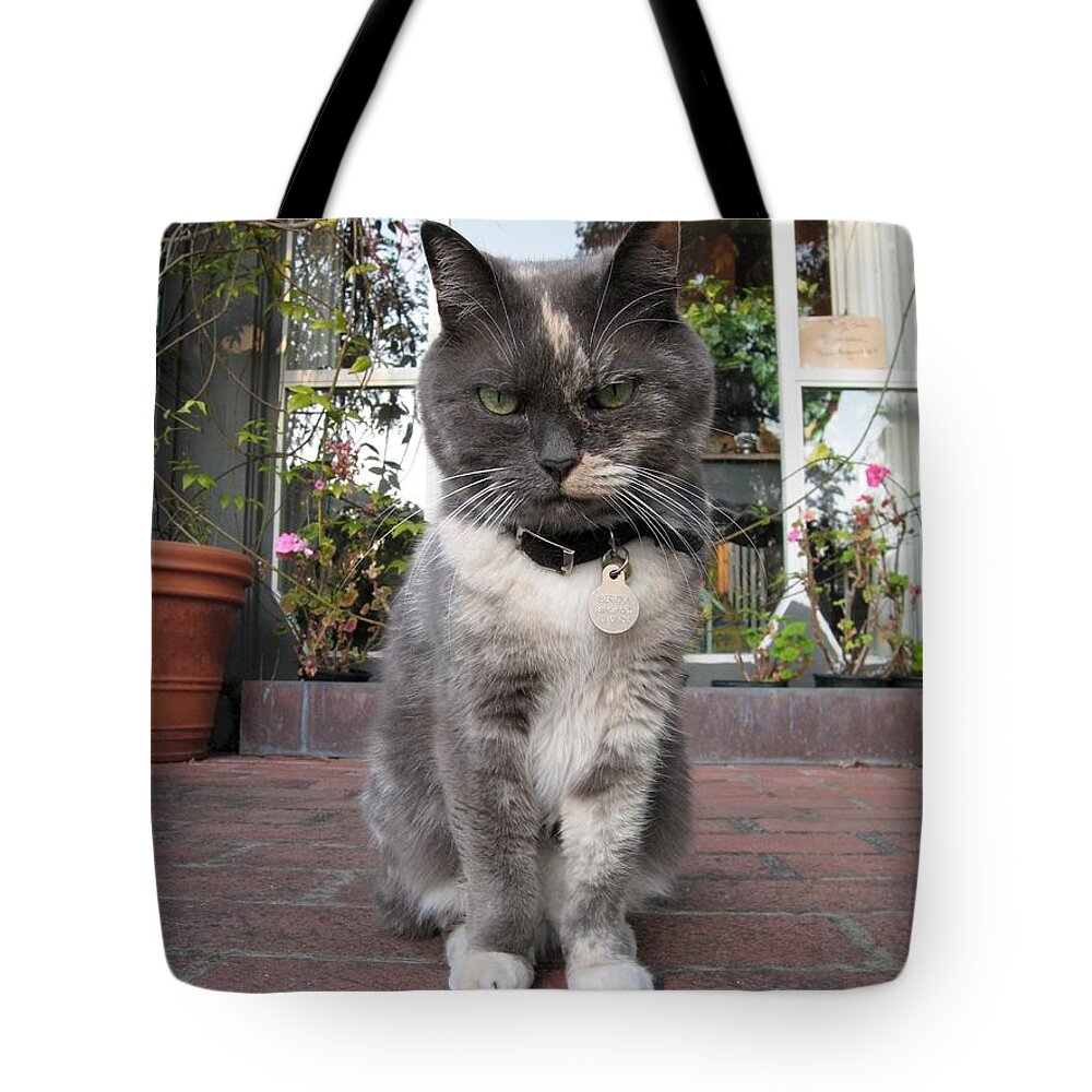 Cat Tote Bag featuring the photograph Carmel Shopkeeper by James B Toy