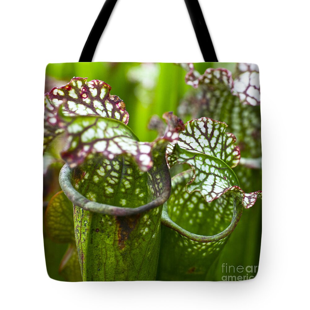 Flora Tote Bag featuring the photograph Carnivorous plants by Heiko Koehrer-Wagner