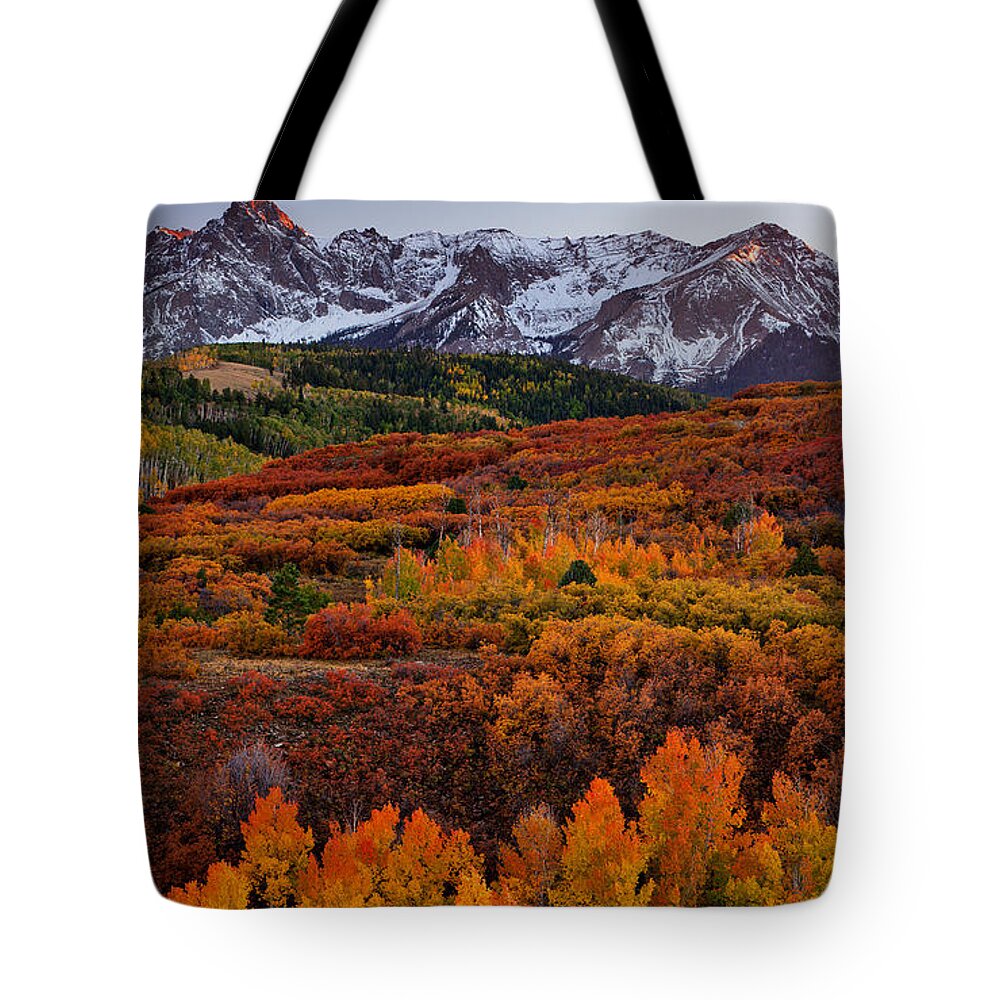 Colorado Tote Bag featuring the photograph Carpet of Color by Darren White