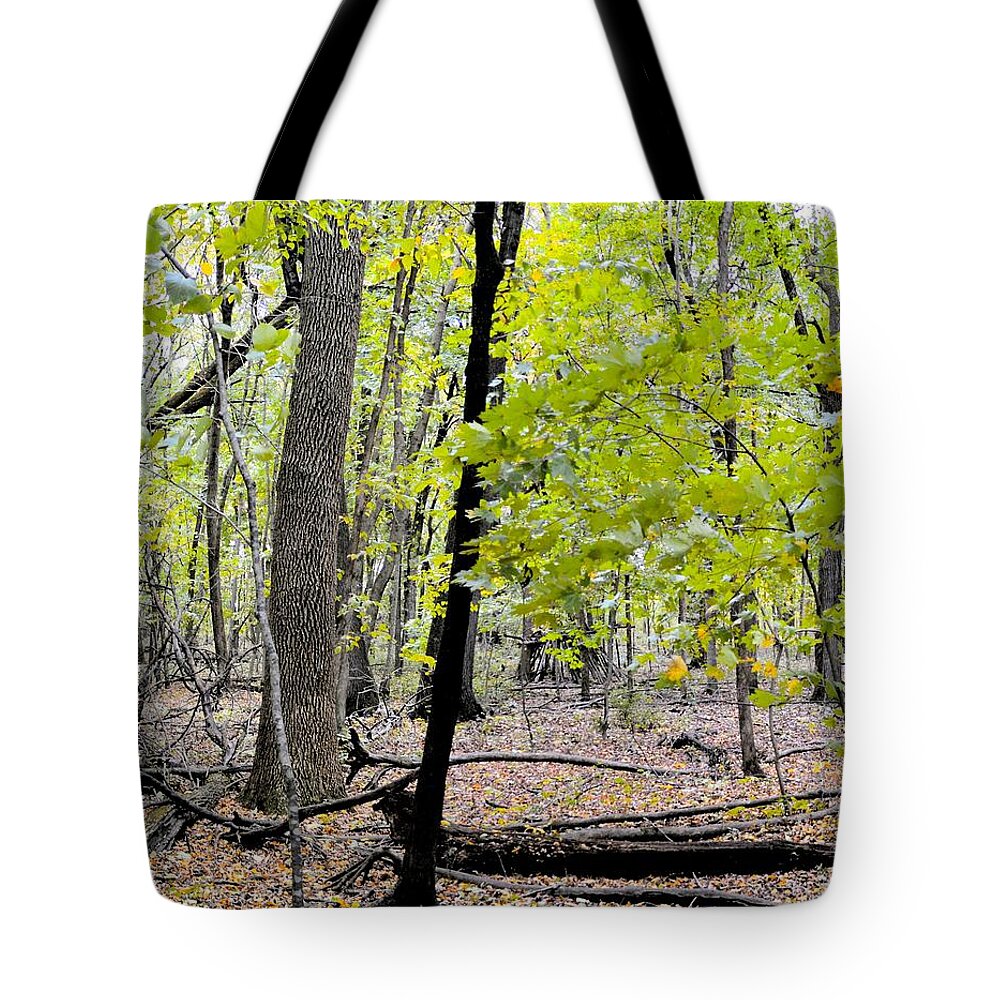 Forest Tote Bag featuring the photograph Carpet Of Leaves Panel 2 by Bonfire Photography