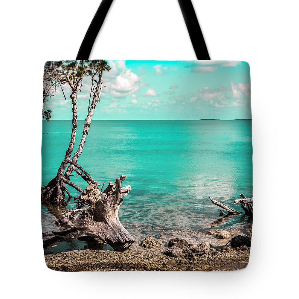 Caribbean Waterscapes Tote Bag featuring the photograph Caribbean Living by Karen Wiles
