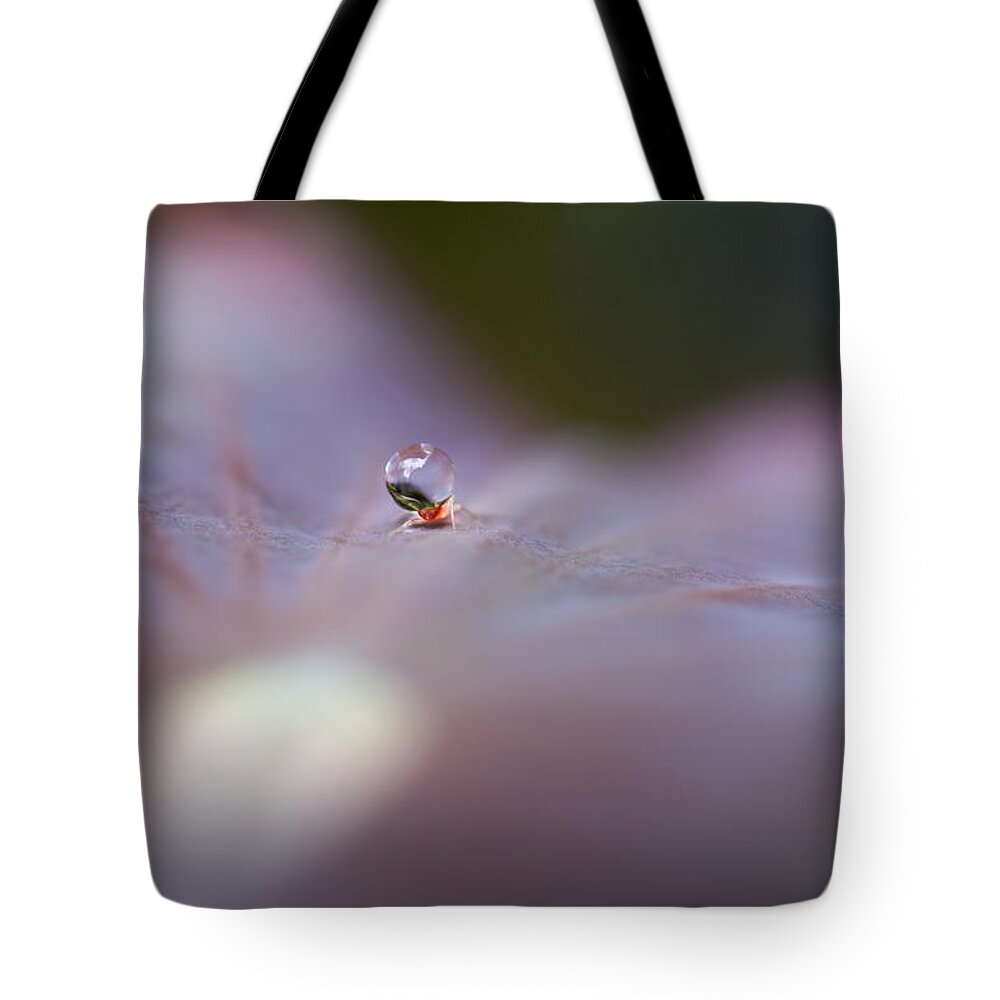 Carrying A Raindrop Tote Bag featuring the photograph Carrying A Raindrop by Priya Ghose