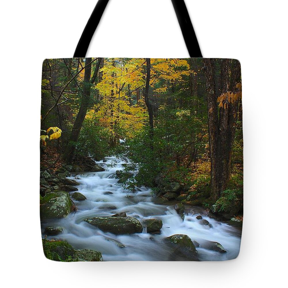 Art Prints Tote Bag featuring the photograph Cascades on the Motor Nature Trail by Nunweiler Photography