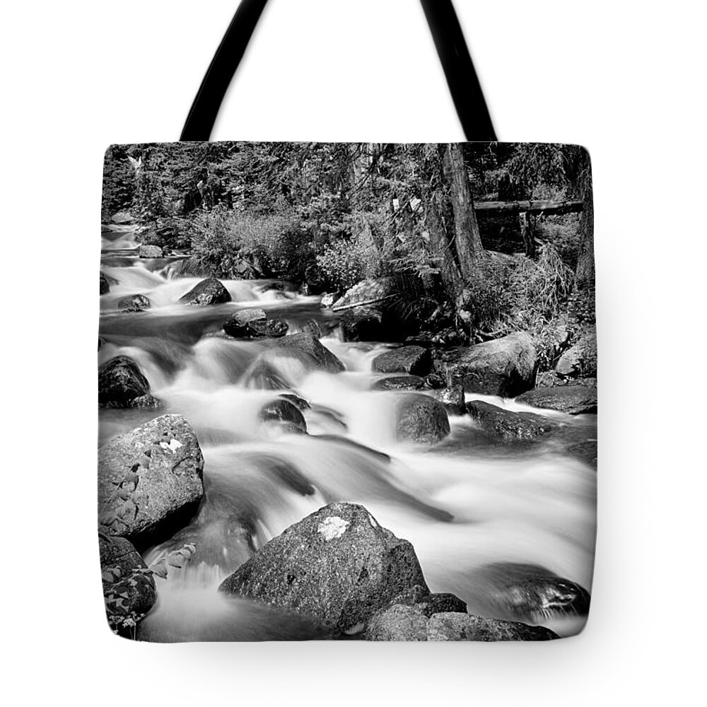 Mountain Stream Tote Bag featuring the photograph Cascading Rocky Mountain Forest Creek BW by James BO Insogna
